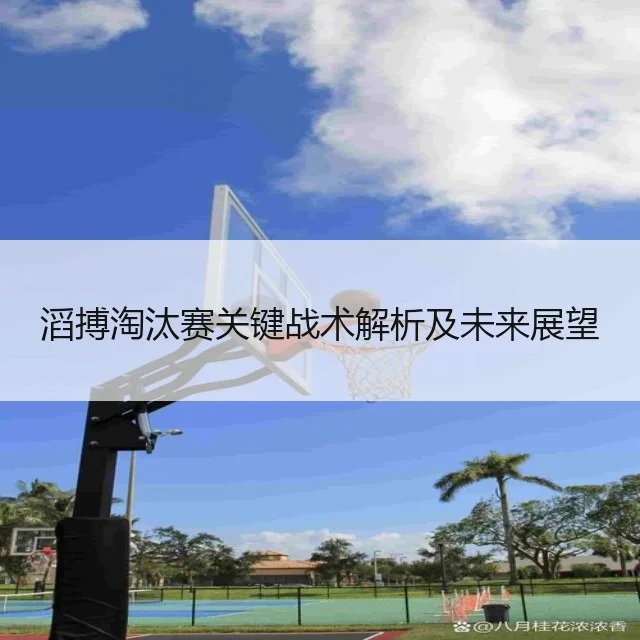 滔搏淘汰赛关键战术解析及未来展望